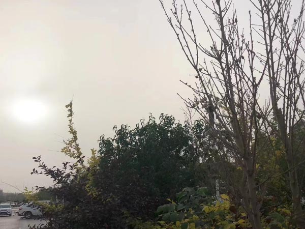上海刑事官司律師來講講使用變?cè)斓慕鹑趹{證進(jìn)行詐騙的行為如何適用法律
