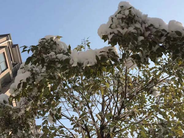 上海房產(chǎn)律師為您講解房地產(chǎn)居間合同如何避免糾紛