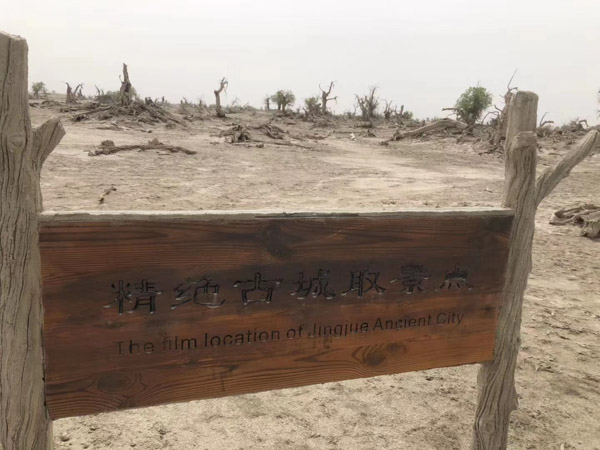 上海打債務的律師來講講民間借貸能否不起訴借款人只起訴擔保人