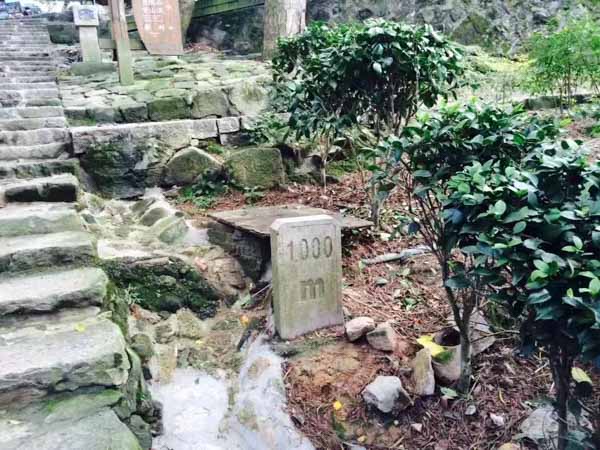 上海拆遷律師網講述鄉鎮人民政府在房屋拆遷中的三種權利